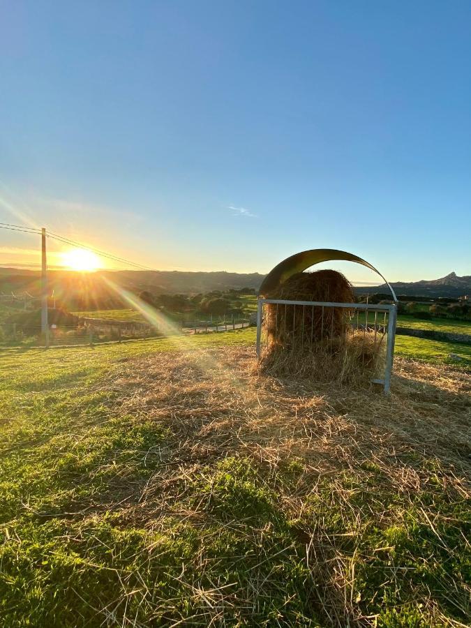 Agriturismo Lu Branu Arzachena Exteriér fotografie