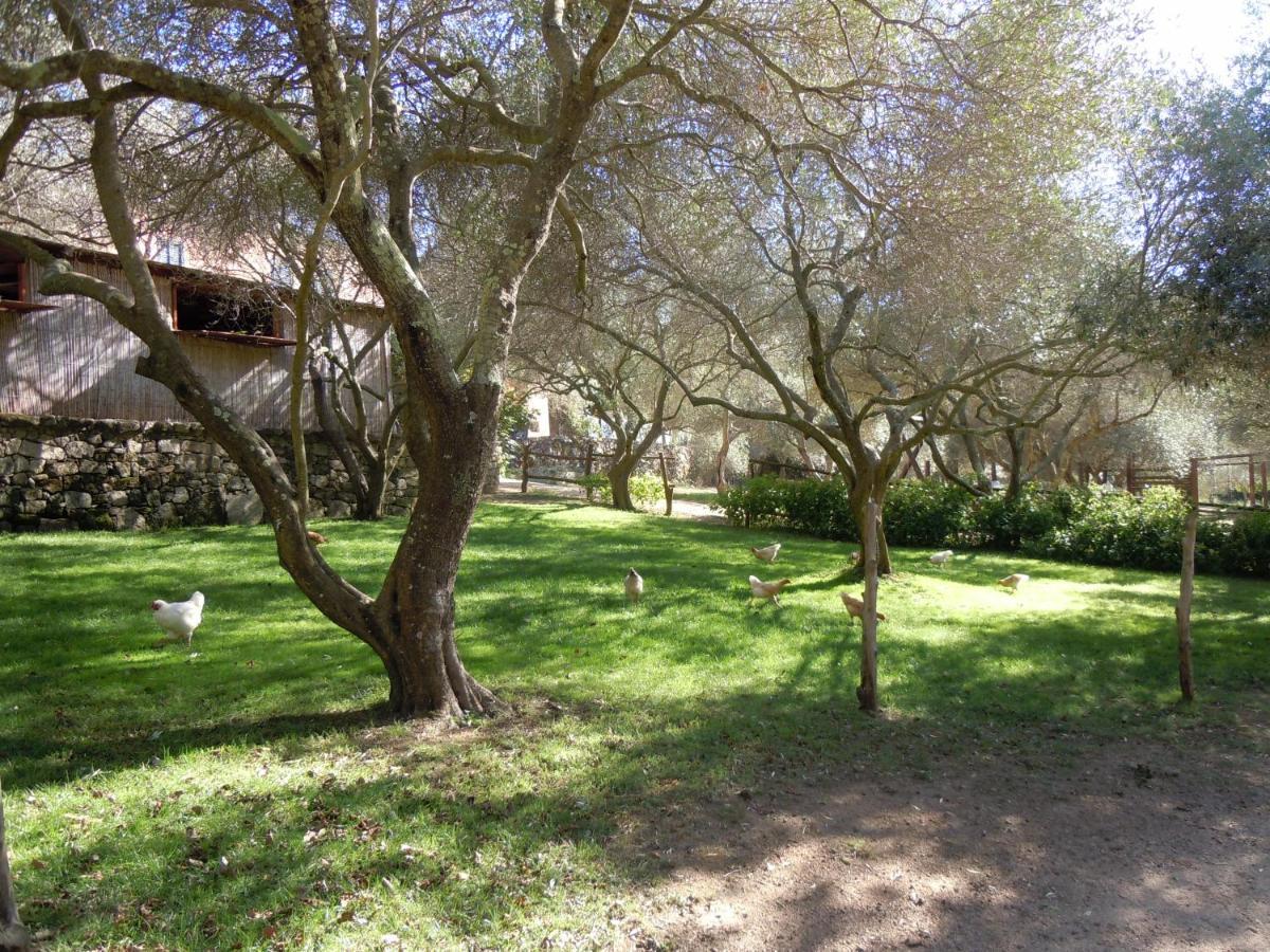 Agriturismo Lu Branu Arzachena Exteriér fotografie